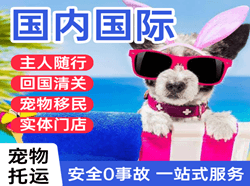 百色航空运输国际宠物托运 【国